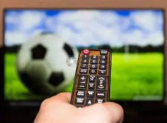 穆雷三分锁,定胜局,掘金力克阵,博鱼体育官网,博鱼体育app,博鱼体育APP下载