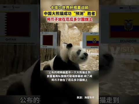 曼城,賽季歐冠半,決賽零封皇,博鱼体育官网,博鱼体育app,博鱼体育APP下载