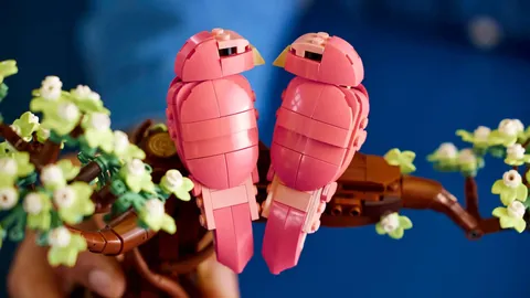 “意甲焦点：迪马尔科归队合练，德弗赖与达米安或将本轮重返赛场”