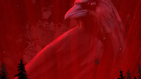 郑钦文北美赛事力争重塑状态，环球时报报道。